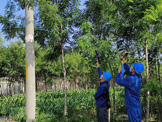 工作人員進(jìn)行紅外測(cè)溫及超聲波局部放電檢測(cè)。 王亮攝