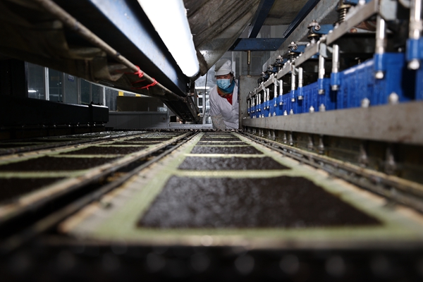 柘汪紫菜產(chǎn)業(yè)園內(nèi)入駐企業(yè)的紫菜生產(chǎn)線。贛榆區(qū)委宣傳部供圖