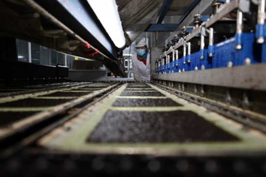 柘汪紫菜產(chǎn)業(yè)園內入駐企業(yè)的紫菜生產(chǎn)線。贛榆區(qū)委宣傳部供圖