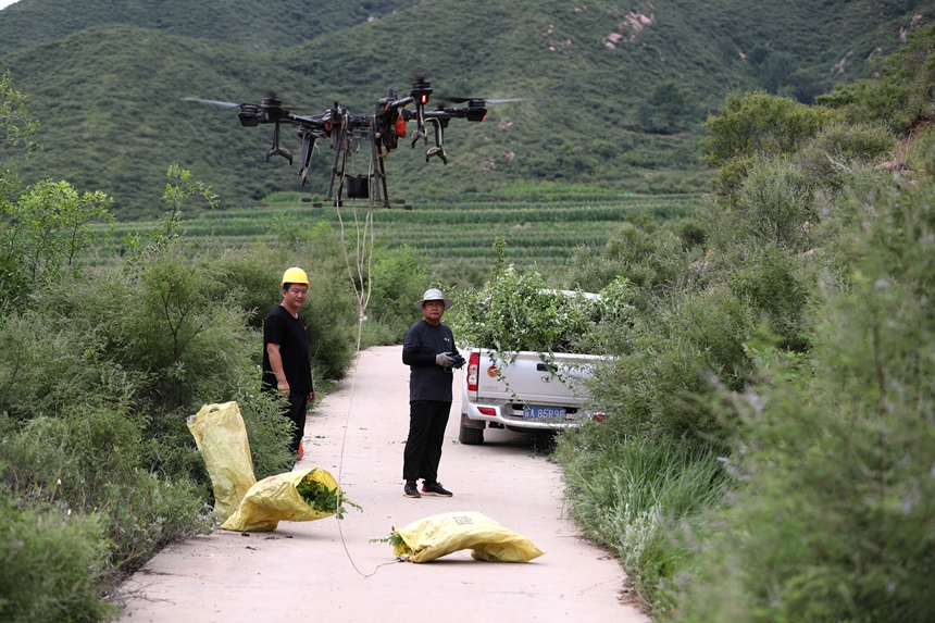 在石家莊市井陘縣吳家窯鄉(xiāng)長峪村荒山造林現場，一名無人機手操控無人機運輸樹苗。王保龍攝