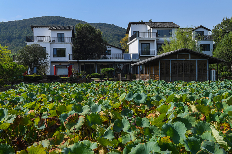 雨悅山房負(fù)責(zé)人原來(lái)在馬達(dá)加斯加打理酒店，之所以“從馬達(dá)加斯加到肥東”，源于對(duì)家鄉(xiāng)民宿前景看好。吳芳攝
