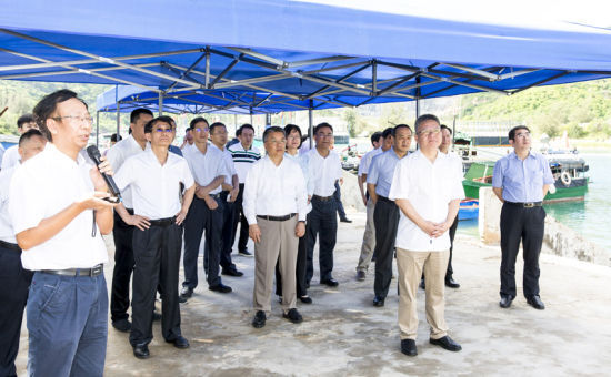 2019年6月21日上午，省長(zhǎng)沈曉明率省政府班子成員在三亞鐵爐港調(diào)研項(xiàng)目規(guī)劃建設(shè)情況。海南日?qǐng)?bào)記者 宋國(guó)強(qiáng) 攝