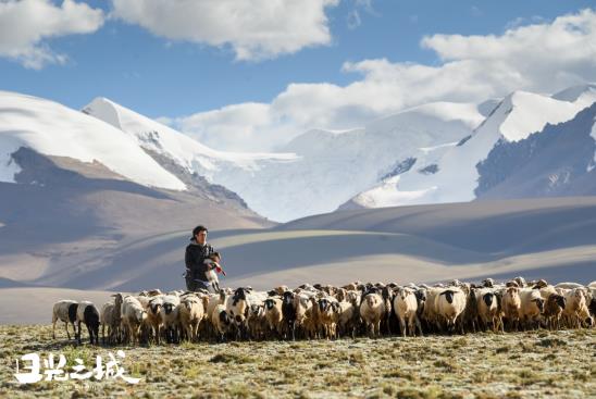 治愈你的不止曠野，更是真實的生活