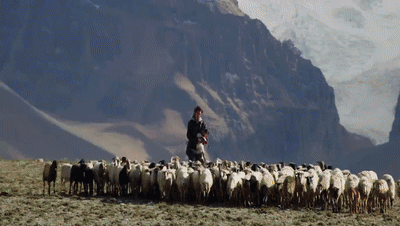 你看了嗎？藏語(yǔ)版《日光之城》“含金量”還在上升！