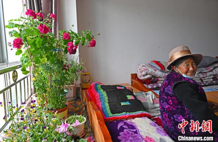 圖為曲松縣特困人員集中供養(yǎng)中心老人德吉卓嘎與她的花。　趙朗 攝