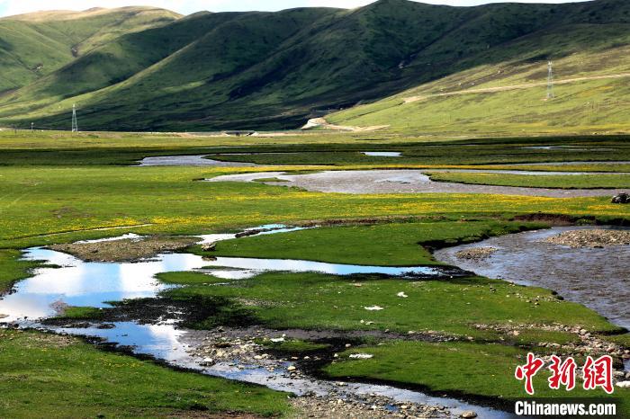 監(jiān)測(cè)顯示:6月青海省草地產(chǎn)草量較近五年略增