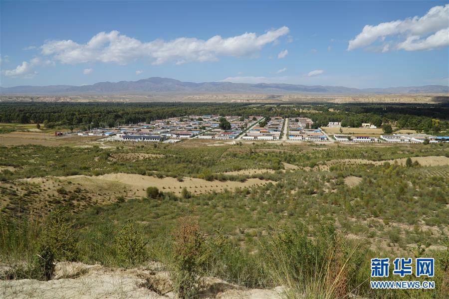 （決戰(zhàn)決勝脫貧攻堅·圖文互動）（2）高原鄉(xiāng)鎮(zhèn)沙珠玉 治沙斗貧成“綠?！薄嗪Ｊ」埠涂h沙珠玉鄉(xiāng)采訪見聞