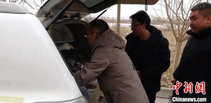 圖為民警救助國家二級保護(hù)動(dòng)物——大天鵝。青海省公安廳森林警察總隊(duì)供圖