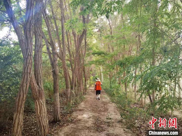 戈壁灘上的護(hù)林員：以前風(fēng)吹睜不開眼，現(xiàn)在滿眼皆綠色