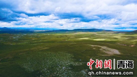 圖為長江南源沼澤濕地。李江寧攝