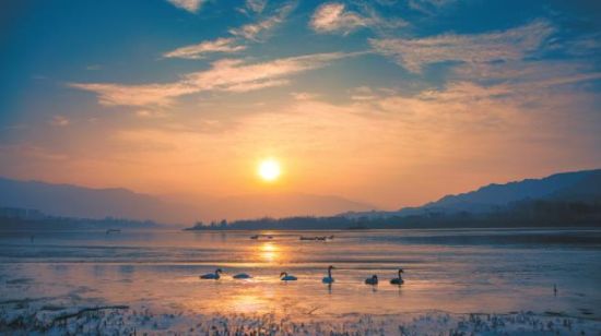 黃河冬之晨。