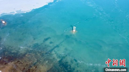 圖為冬日青海湖?！±罱瓕帯z