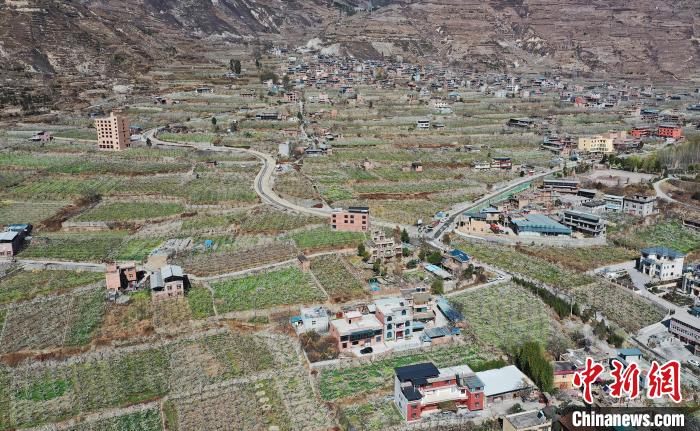 潔白的李花與村寨交相輝映，勾勒出一幅美麗的和諧生態(tài)畫(huà)卷。　何清海 攝