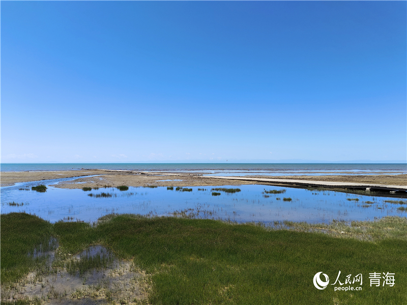 青海湖仙女灣。人民網 張莉萍攝