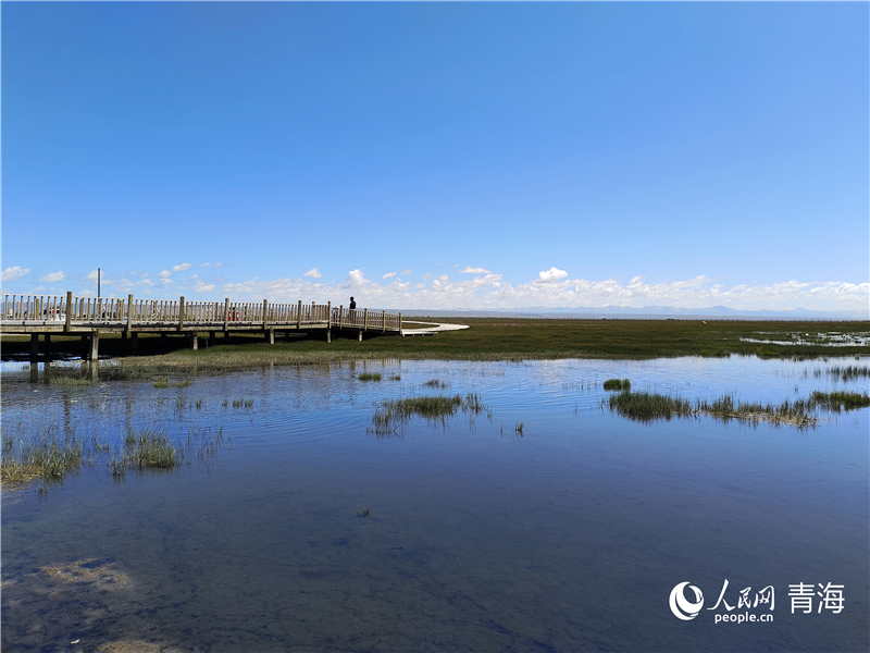   青海湖仙女灣。人民網(wǎng) 張莉萍攝