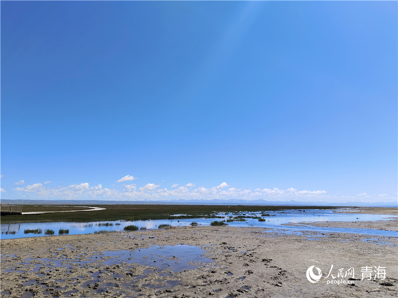   青海湖仙女灣。人民網(wǎng) 張莉萍攝