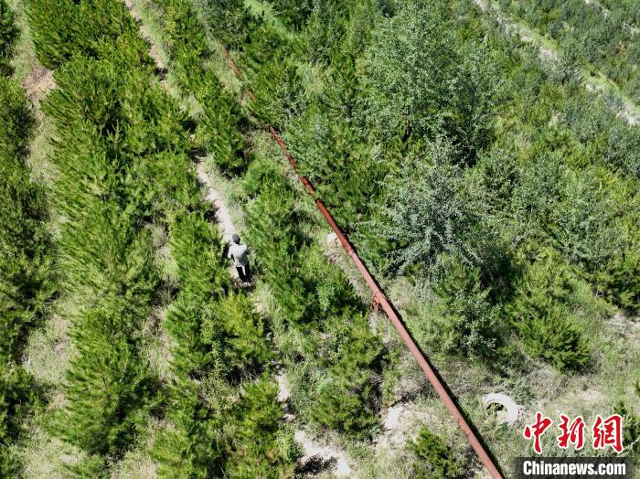 航拍建行青海省分行綠化區(qū)施工隊隊長盧占祥正在巡護綠化區(qū)?！∑钤鲚?攝