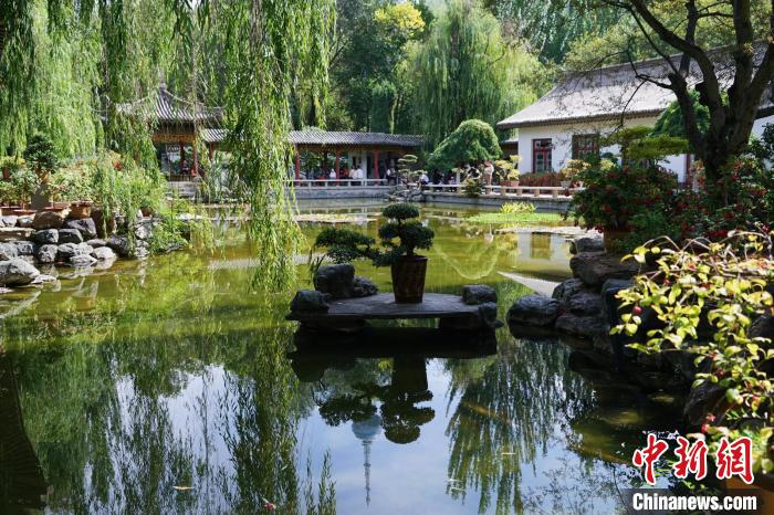 圖為西寧園林植物園秋日風(fēng)景別有韻味?！●R銘言 攝