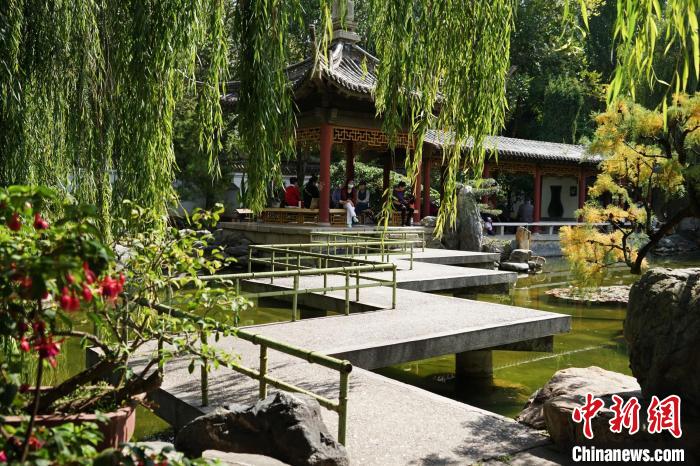 圖為西寧園林植物園秋日風(fēng)景別有韻味?！●R銘言 攝