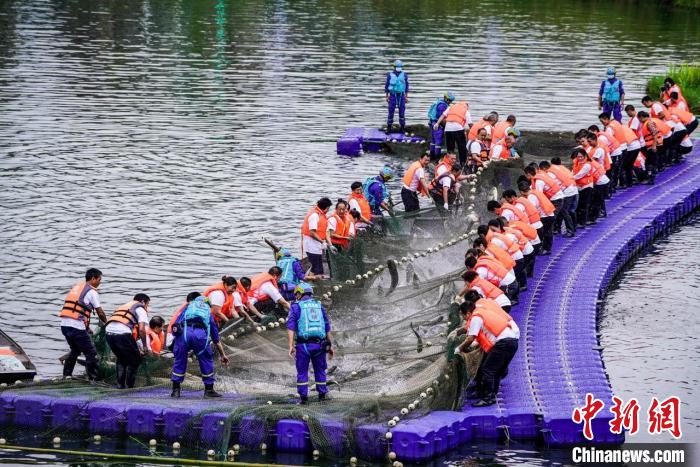 捕撈現(xiàn)場?！≈鬓k方供圖