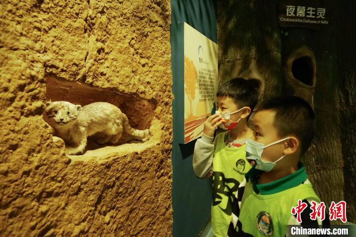 圖為小朋友在青海西寧湟水國家濕地公園科普館內(nèi)參觀學(xué)習(xí)。　馬銘言 攝