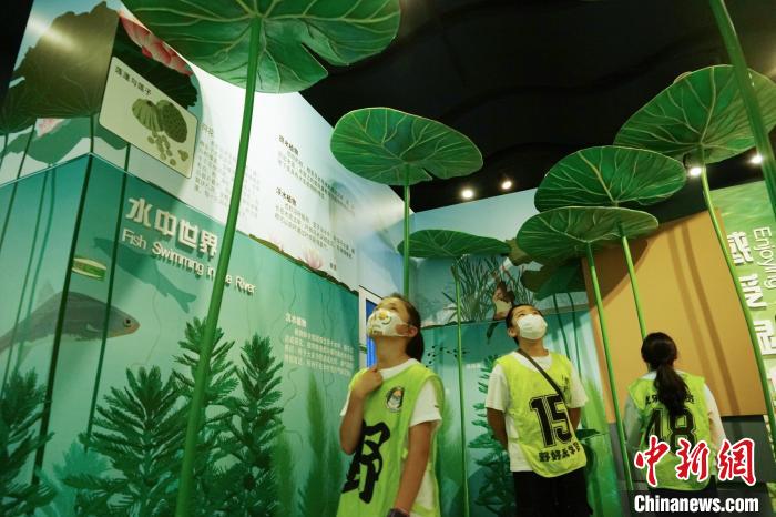 圖為小朋友在青海西寧湟水國家濕地公園科普館內(nèi)參觀學(xué)習(xí)?！●R銘言 攝