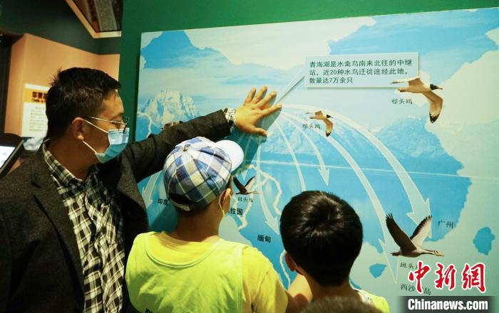 圖為小朋友在青海西寧湟水國家濕地公園科普館內(nèi)參觀學(xué)習(xí)。　馬銘言 攝