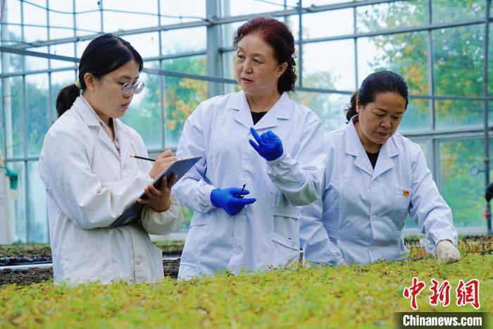 圖為張錦梅(中)與同事在討論數(shù)據(jù)。馬銘言 攝