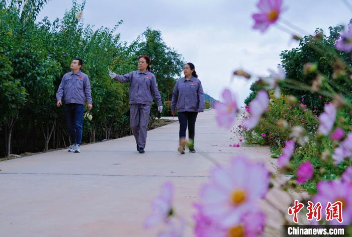 圖為張錦梅(中)與同事在西寧北山查看丁香樹。　馬銘言 攝