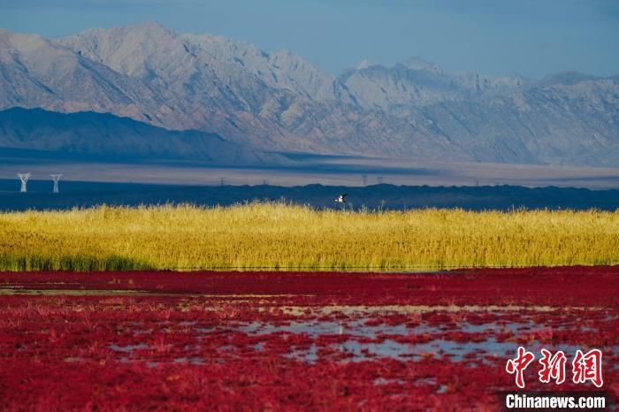 圖為柴達(dá)木盆地可魯克湖。　郭曲太 攝