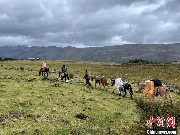 圖為9月26日游客騎馬領(lǐng)略尼汝村高原牧場風(fēng)光。 <a target='_blank' href='/'><p  align=