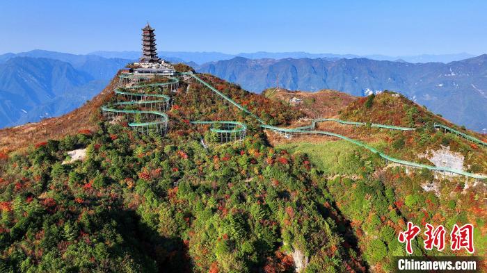 巴山大峽谷彩林迎來最佳觀賞期?！∫κ?攝