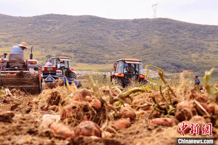 青海東部農(nóng)業(yè)區(qū)：“一分川、一分水、八分山”里“刨金記”