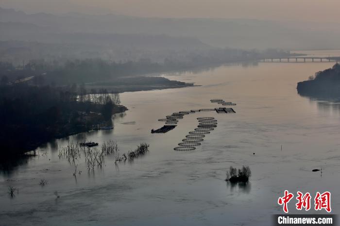 圖為冷水魚養(yǎng)殖?！±钣穹?攝