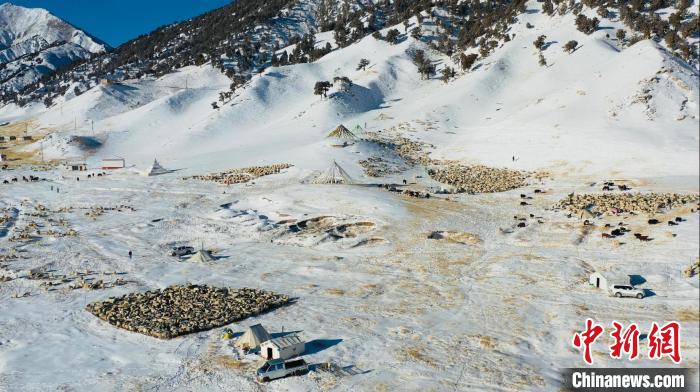 圖為無人機(jī)航拍牧場(chǎng)。　都蘭縣融媒體中心供圖