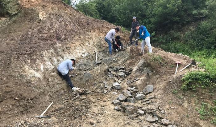 2018年玉海翼角魚野外發(fā)掘采集現(xiàn)場?！∩w志琨 攝