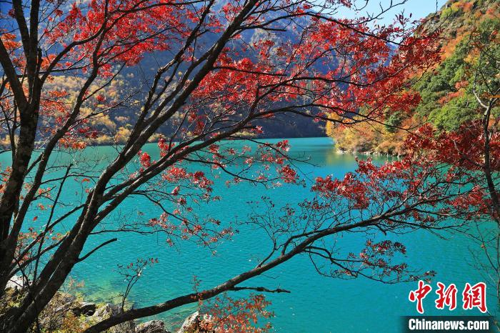 松坪溝風(fēng)光?！『吻搴?攝