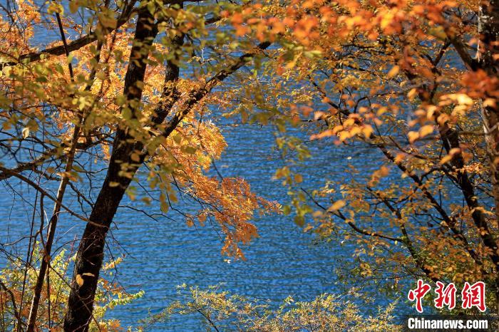 松坪溝風(fēng)光?！⑼?攝