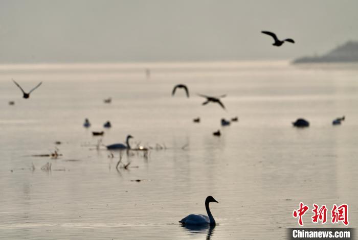 青海自然資源領(lǐng)域：構(gòu)建具有青藏高原特色生態(tài)產(chǎn)品價值實(shí)現(xiàn)路徑