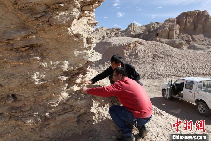 圖為地質(zhì)專家觀察鹽類沉積地層。(資料圖) 柴綜院 供圖