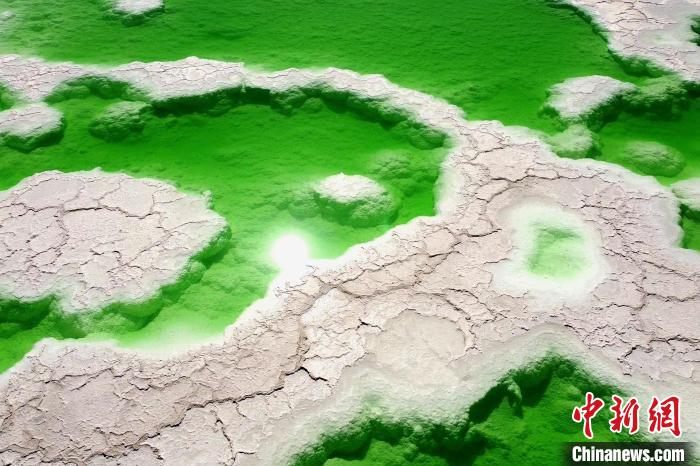 青?！拔鞔箝T”茫崖多舉措蓄能鹽湖產(chǎn)業(yè)發(fā)展