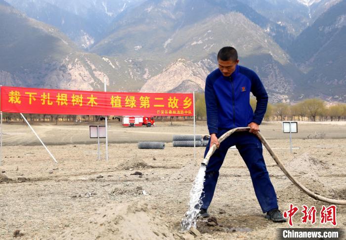 林芝市巴宜區(qū)森林消防中隊(duì)志愿服務(wù)隊(duì)澆水灌溉。　西繞拉翁 攝