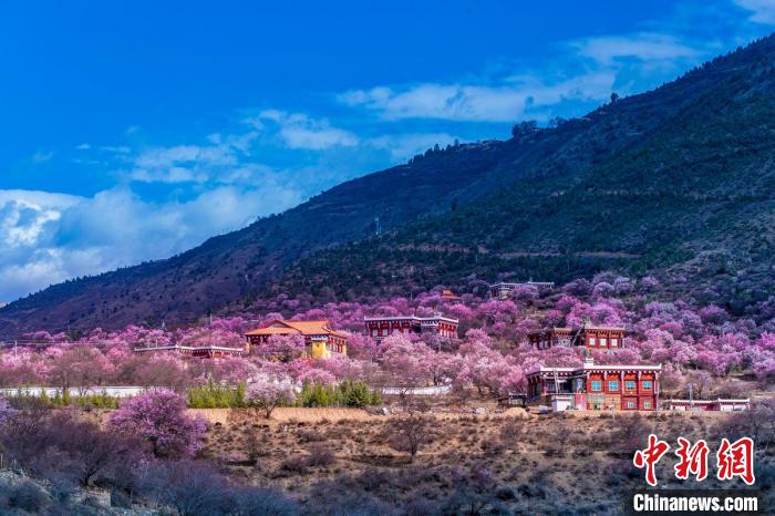 美麗的鄉(xiāng)村畫(huà)卷?！『涡秀?攝