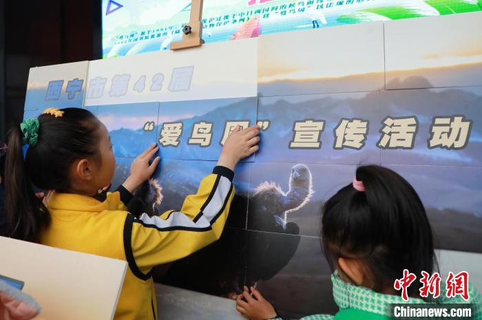 圖為學(xué)生通過拼圖游戲了解鳥類知識?！●R銘言 攝