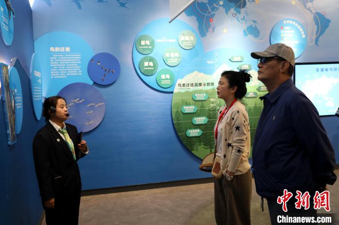 圖為臺(tái)商在祁連山國(guó)家公園生態(tài)科普館內(nèi)聆聽(tīng)講解?！⊙Φ?攝