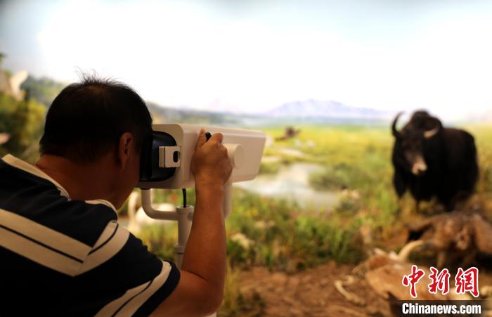 圖為臺(tái)商觀看祁連山國(guó)家公園生態(tài)科普館內(nèi)生態(tài)場(chǎng)景。　薛蒂 攝