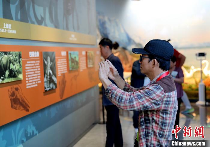 圖為臺(tái)商在祁連山國(guó)家公園生態(tài)科普館觀看墻面藝術(shù)圖文?！⊙Φ?攝