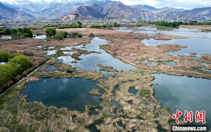 圖為拉薩拉魯濕地。(無(wú)人機(jī)照片) 李林 攝