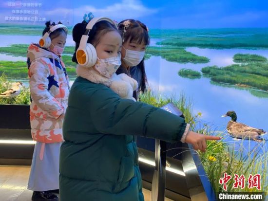 圖為學(xué)生在西寧市第一中學(xué)濕地科普宣教館內(nèi)參觀?！±罱瓕?攝