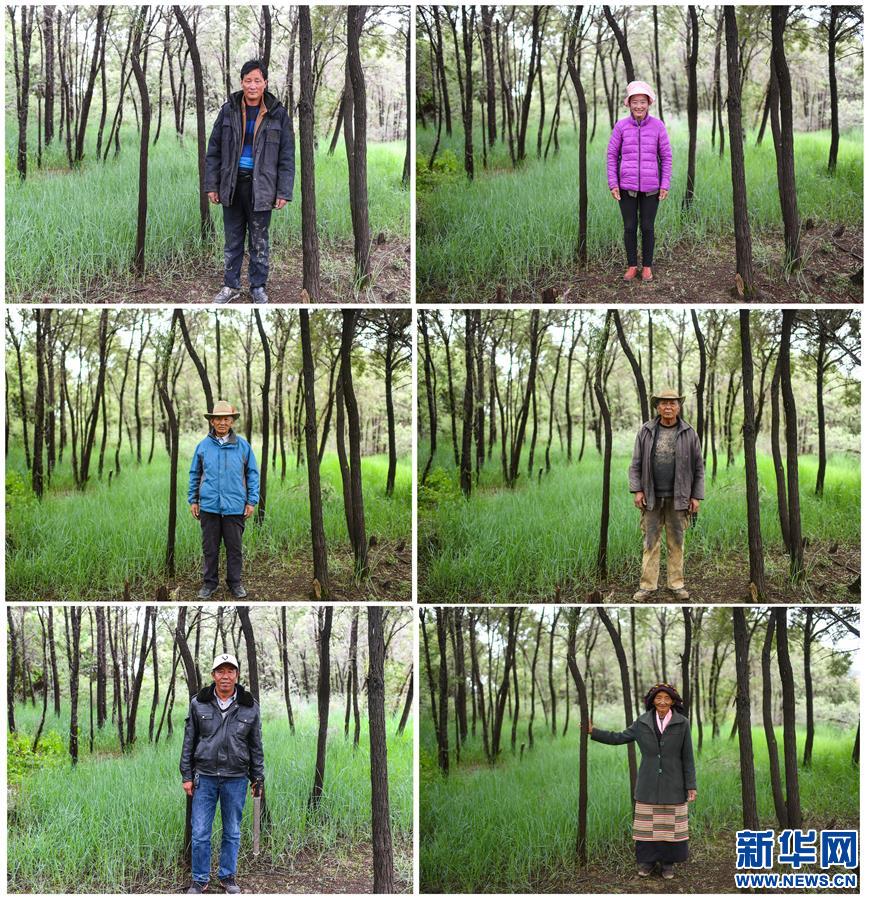 (新華全媒頭條·圖文互動)(7)莊重的承諾 歷史的奇跡——西藏自治區(qū)決戰(zhàn)脫貧攻堅(jiān)紀(jì)實(shí)